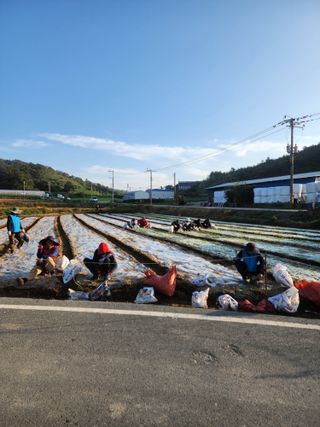 박정석님의 11월 농사 계획 공유하기 · 참여글 작성글 사진