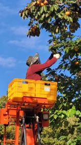 팜모닝 11월 농사 계획 공유하기·참여글 게시글 이미지