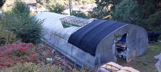 이일철 (조이산골)님의 자유주제 · 자유게시판 작성글 사진