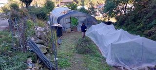 이일철 (조이산골)님의 자유주제 · 자유게시판 작성글 사진