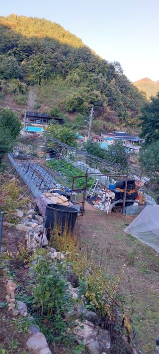 이일철 (조이산골)님의 자유주제 · 자유게시판 작성글 사진