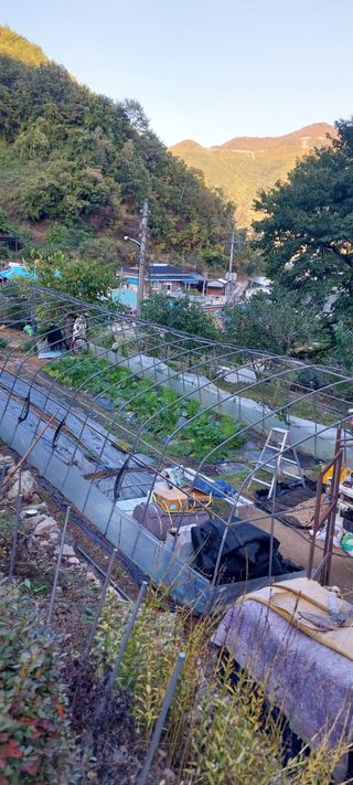 이일철 (조이산골)님의 자유주제 · 자유게시판 작성글 사진