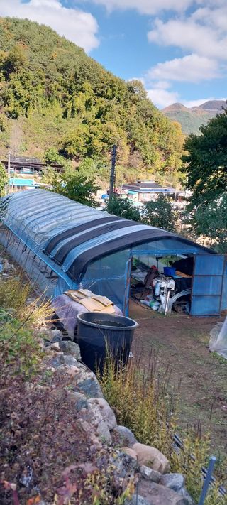 이일철 (조이산골)님의 자유주제 · 자유게시판 작성글 사진