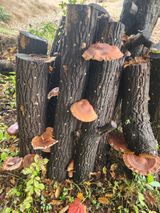 팜모닝 자유주제·자유게시판 게시글 이미지