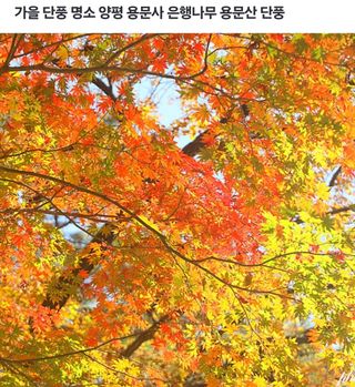 울금박사/빈덕열목사님의 자유주제 · 자유게시판 작성글 사진