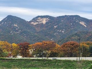 울금박사/빈덕열목사님의 자유주제 · 자유게시판 작성글 사진