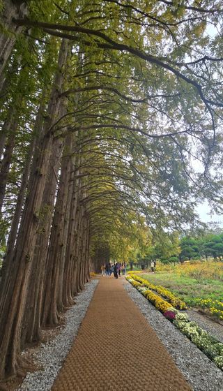 울금박사/빈덕열목사님의 자유주제 · 자유게시판 작성글 사진