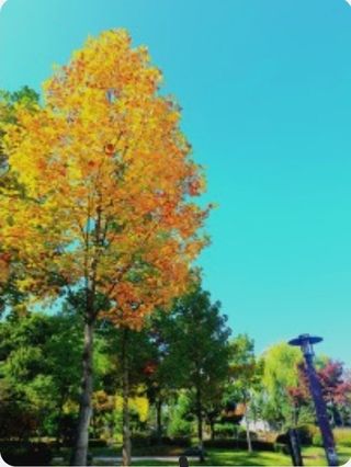 울금박사/빈덕열목사님의 자유주제 · 자유게시판 작성글 사진