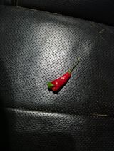 팜모닝 자유주제·자유게시판 게시글 이미지