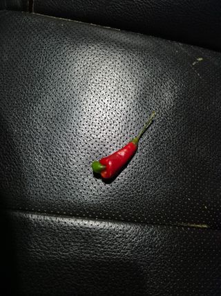 남종희님의 자유주제 · 자유게시판 작성글 사진