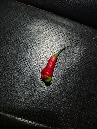 남종희님의 자유주제 · 자유게시판 작성글 사진