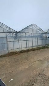 팜모닝 자유주제·자유게시판 게시글 이미지