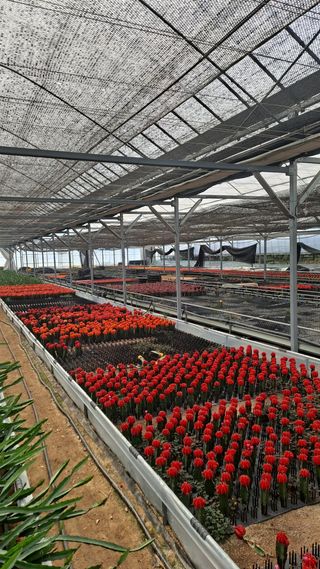 이재혁님의 자유주제 · 자유게시판 작성글 사진