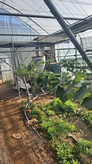 이재혁님의 자유주제 · 자유게시판 작성글 사진