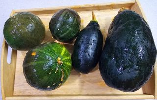 이미옥님의 11월 농사 계획 공유하기 · 참여글 작성글 사진