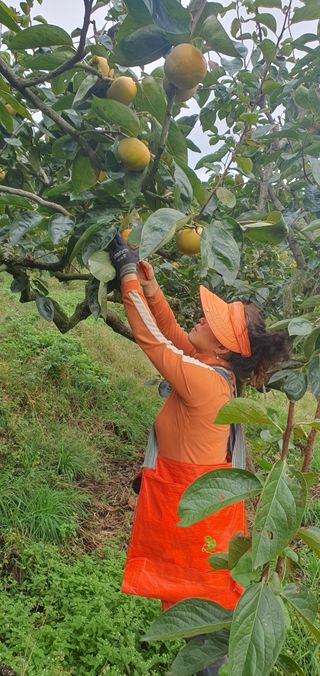 김문희님의 자유주제 · 자유게시판 작성글 사진