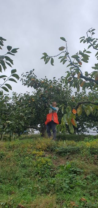 김문희님의 자유주제 · 자유게시판 작성글 사진