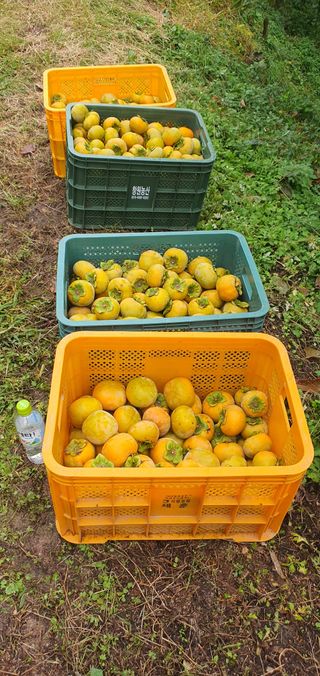 김문희님의 자유주제 · 자유게시판 작성글 사진