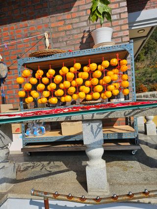 충남공주이도은님의 자유주제 · 자유게시판 작성글 사진