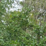 팜모닝 11월 농사 계획 공유하기·참여글 게시글 이미지