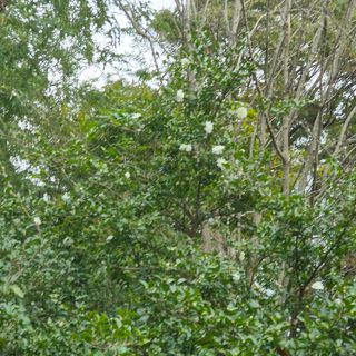 김기한.님의 11월 농사 계획 공유하기 · 참여글 작성글 사진