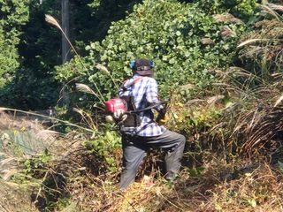 행복블루맘님의 자유주제 · 자유게시판 작성글 사진