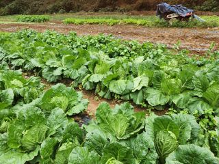 행복블루맘님의 자유주제 · 자유게시판 작성글 사진