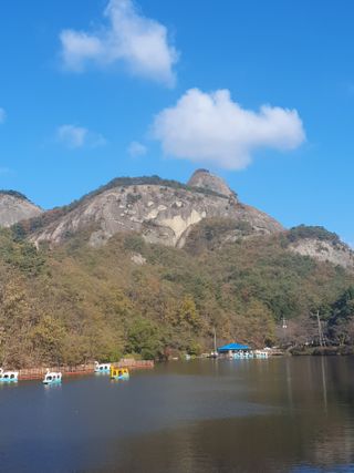 알 수 없음님의 자유주제 · 자유게시판 작성글 사진