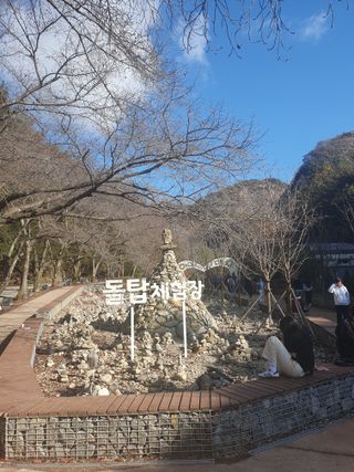 알 수 없음님의 자유주제 · 자유게시판 작성글 사진