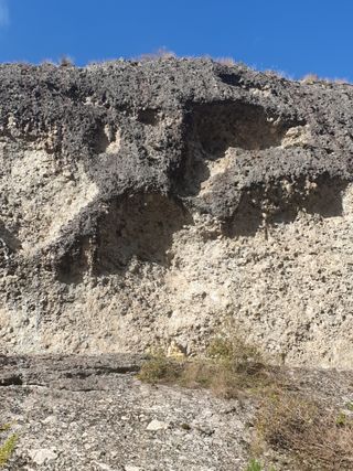 알 수 없음님의 자유주제 · 자유게시판 작성글 사진