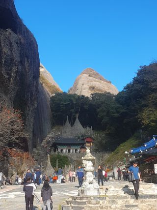 알 수 없음님의 자유주제 · 자유게시판 작성글 사진