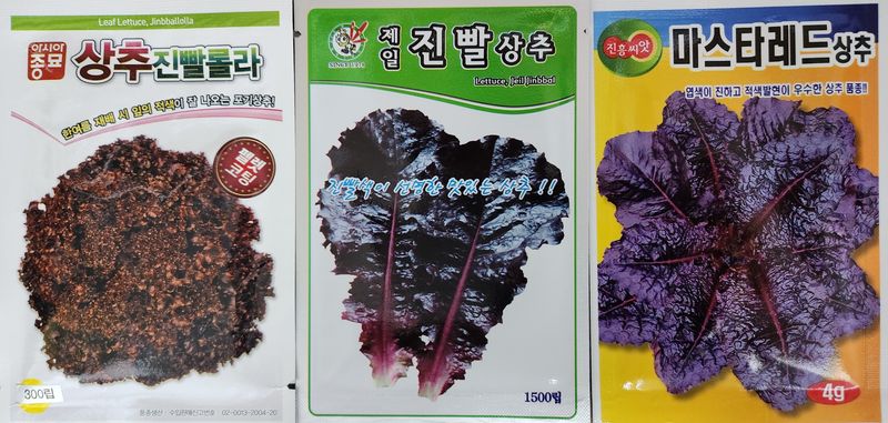 안산제일농약사님의 장터 판매 상품 [진빨롤라펠렛300립+진빨상추1500립+마스타레드4g] 첨부 사진