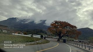 MSG0074님의 자유주제 · 자유게시판 작성글 사진