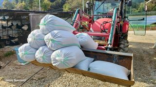 들깨 자색마 고추님의 들깨 · 영농일지 작성글 사진