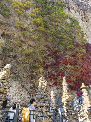 알 수 없음님의 자유주제 · 자유게시판 작성글 사진