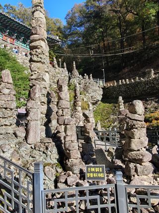 알 수 없음님의 자유주제 · 자유게시판 작성글 사진