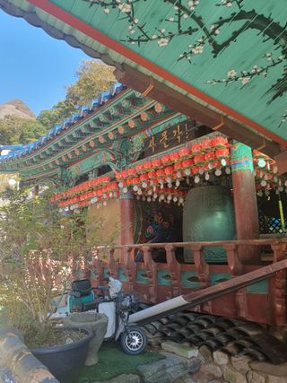 알 수 없음님의 자유주제 · 자유게시판 작성글 사진