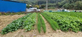 김길수님의 자유주제 · 자유게시판 작성글 사진