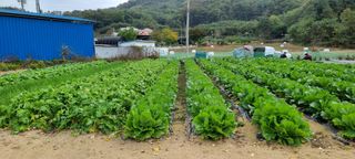 김길수님의 자유주제 · 자유게시판 작성글 사진