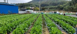 김길수님의 자유주제 · 자유게시판 작성글 사진