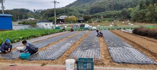 김길수님의 자유주제 · 자유게시판 작성글 사진