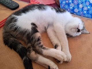 조명희님의 요즘 즐겨보는 TV 프로그램을 알려주세요 · 참여글 작성글 사진