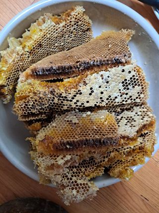 조명희님의 요즘 즐겨보는 TV 프로그램을 알려주세요 · 참여글 작성글 사진