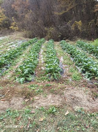 엄재식님의 자유주제 · 자유게시판 작성글 사진