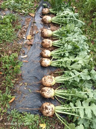 엄재식님의 자유주제 · 자유게시판 작성글 사진