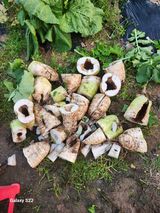 팜모닝 자유주제·자유게시판 게시글 이미지