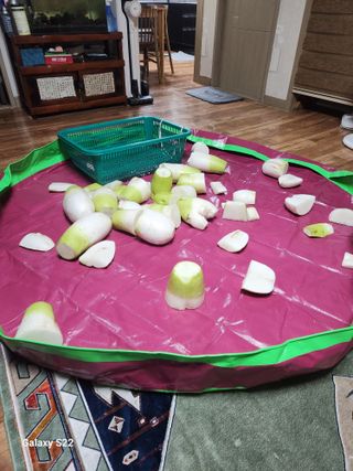 kis님의 자유주제 · 자유게시판 작성글 사진