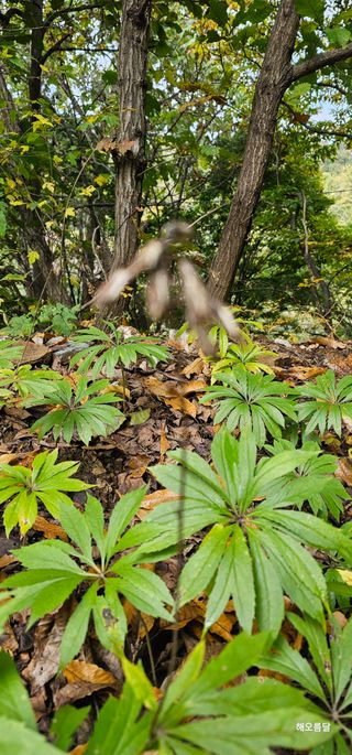 해오름달님의 자유주제 · 자유게시판 작성글 사진