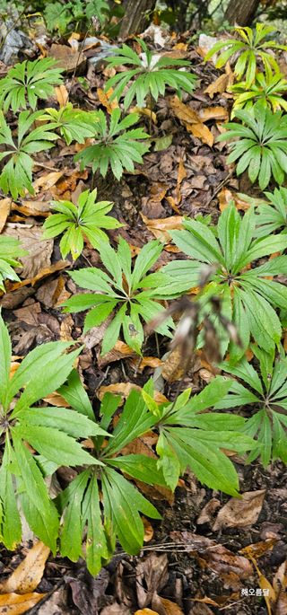 해오름달님의 자유주제 · 자유게시판 작성글 사진