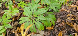 해오름달님의 자유주제 · 자유게시판 작성글 사진